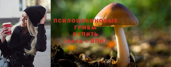 кокс Покачи