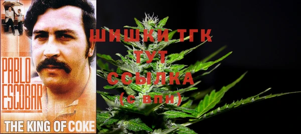 амф Абаза