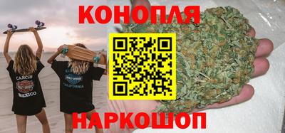 гашик Дубна