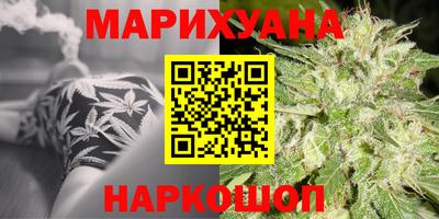 гашик Дубна