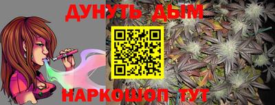 гашик Дубна