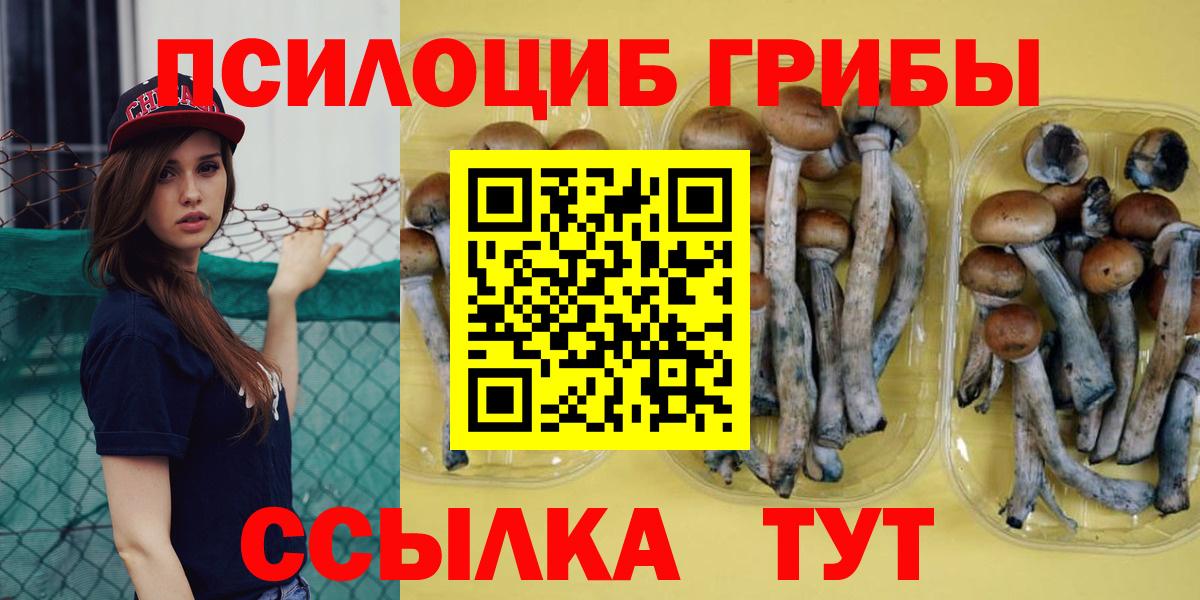 Псилоцибиновые грибы Cubensis Кимовск