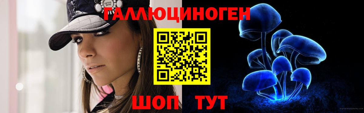 Псилоцибиновые грибы Cubensis  Вход с VPN  Кимовск 